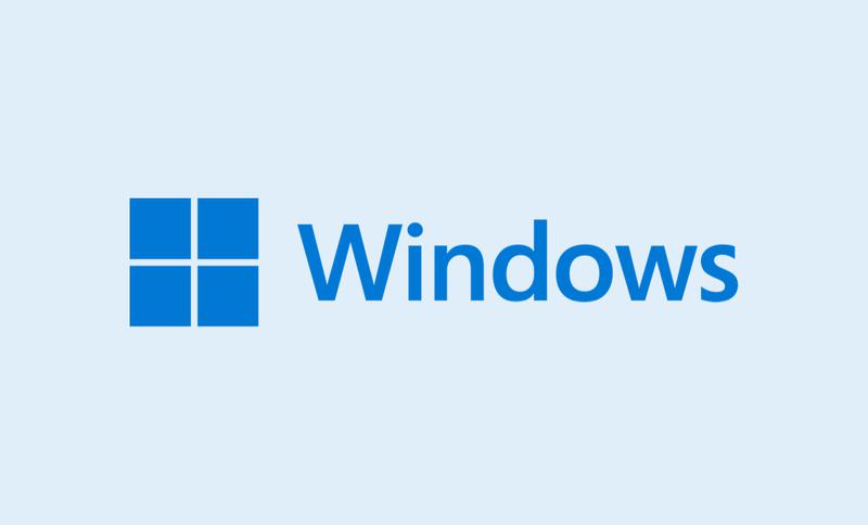 WINDOWS BASICO